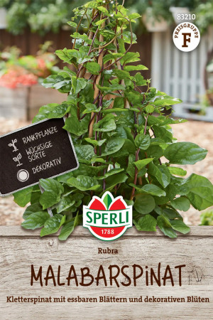 Rubra Malabar Ceylon spinach seeds