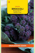 Burgundy F1 Sprouting broccoli seeds