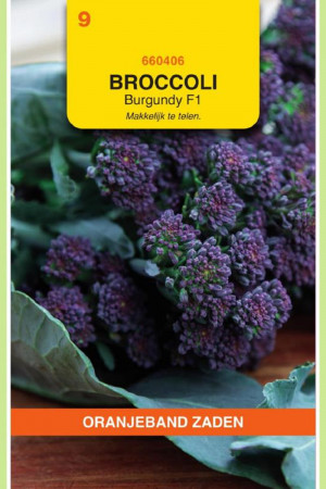 Burgundy F1 Sprouting broccoli zaden