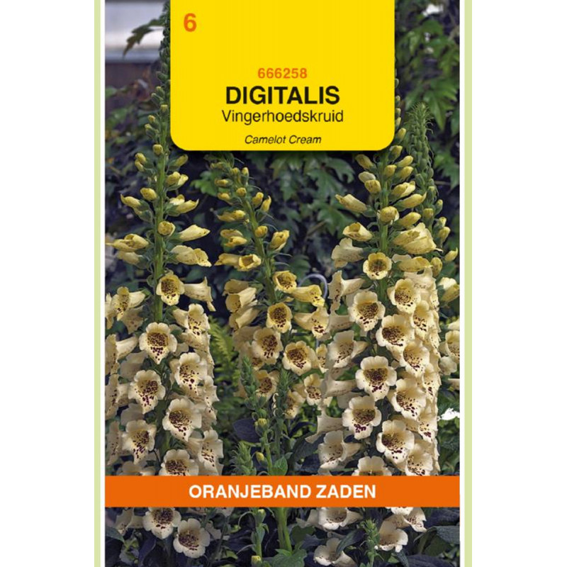 Dalmation Peach F1 Vingerhoedskruid zaden Digitalis kopen? Tuinzaden.eu