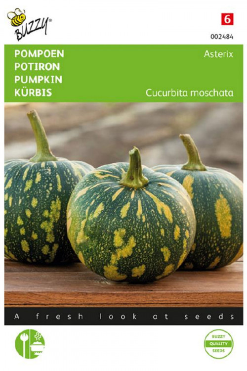 Asterix Pumpkin seeds