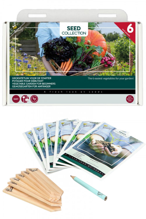 Collection of 6 Vegetable seeds for the starter