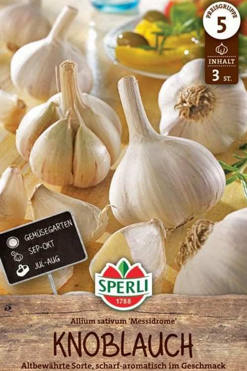 Garlic Messidrome Sperli  - 3 pieces