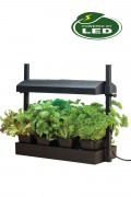 Micro Grow Light Garden Zwart - 8W groeilamp