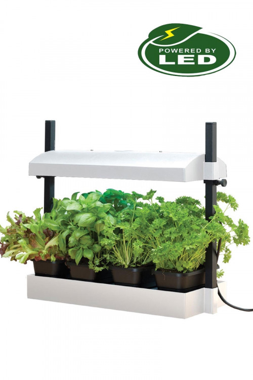Micro Grow Light Garden Wit - 8W groeilamp