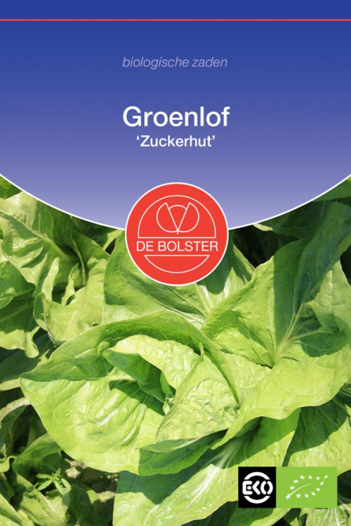 Zuckerhut Groenlof organic seeds - 2025