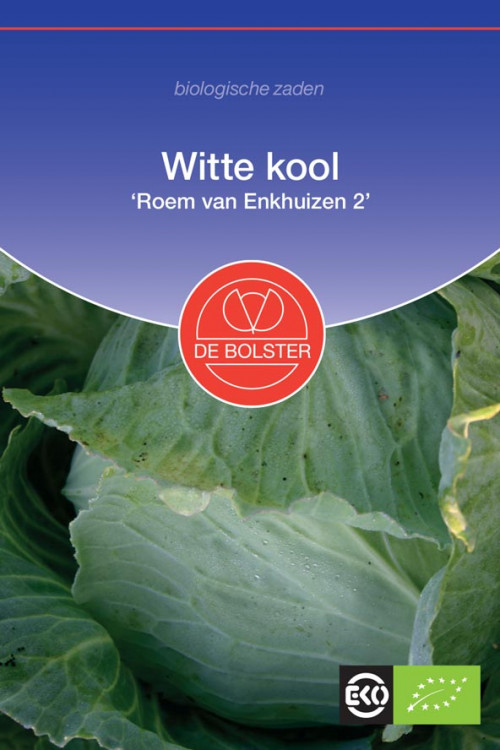 Roem van Enkhuizen 2 White cabbage organic seeds - 2025