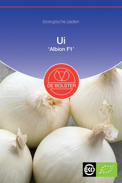 Albion F1 Onion Organic seeds - 2025