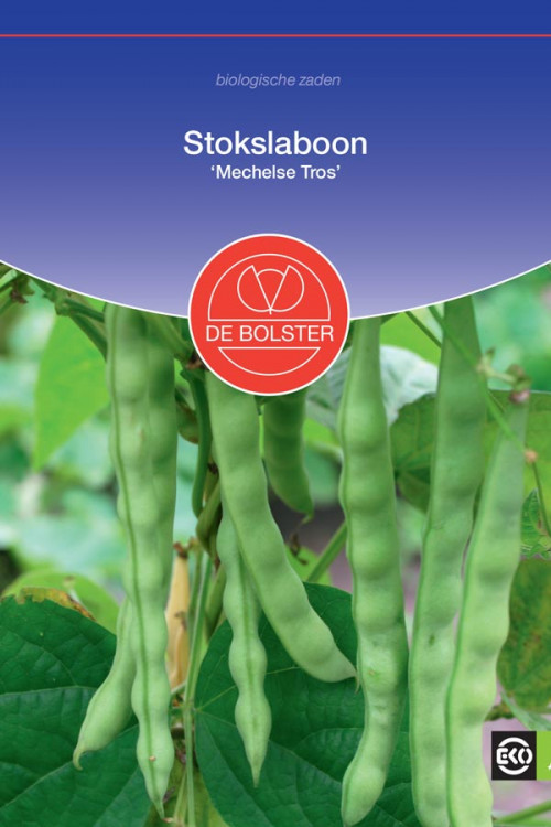 Mechelse Tros pole beans organic seeds - 2025