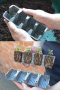 24-Cell Fast Root Plant Cells – G242