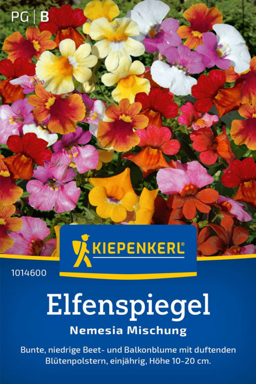 Elfen Spiegel Nemesia zaden