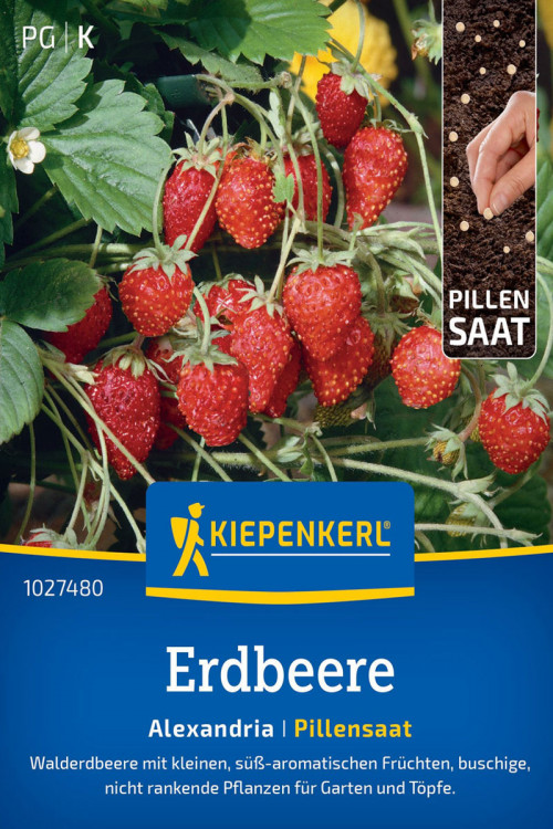 Alexandria aardbei zaadpillen