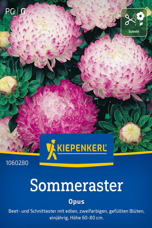 Opus China Aster seeds