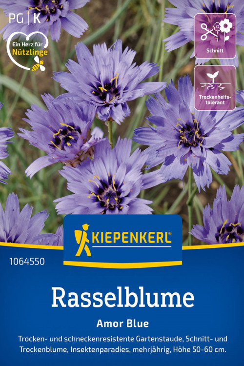 Amor Blue Blauwe strobloem zaden