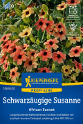 African Sunset Black-eyed Susan seeds African Sunset Black-eyed Susan seeds