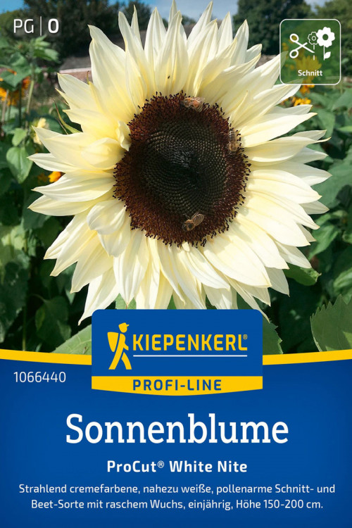 ProCut White Nite F1 Zonnebloem zaden