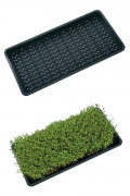 Microgreens XL Kweektray met drainage gaten