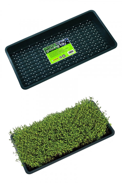 Microgreens XL Kweektray Extra Diep met drainage gaten