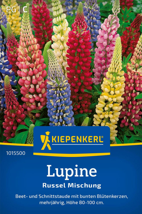 Colorful Lupine seeds