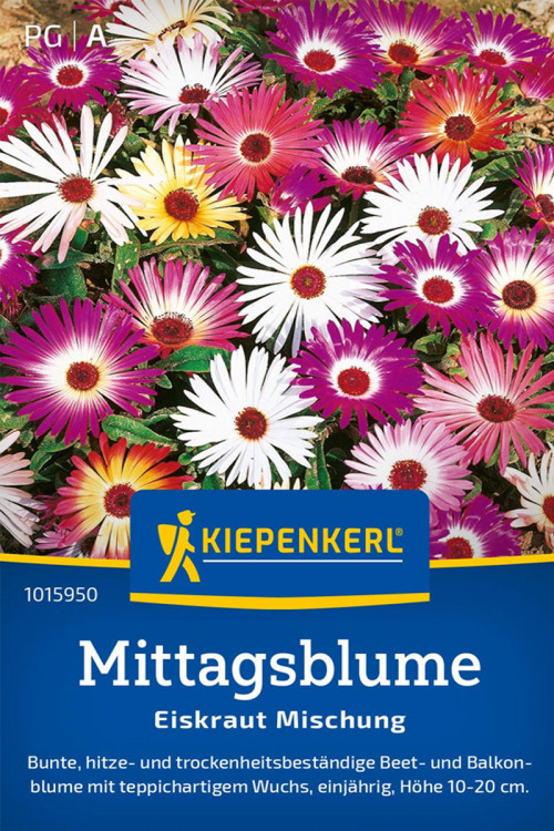 Colorful Ice Plant seeds Colorful Ice Plant seeds