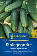 Vorgebirgstrauben Augurken zaden