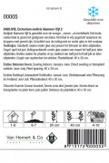 Andijvie Nummer Vijf 2 zaden