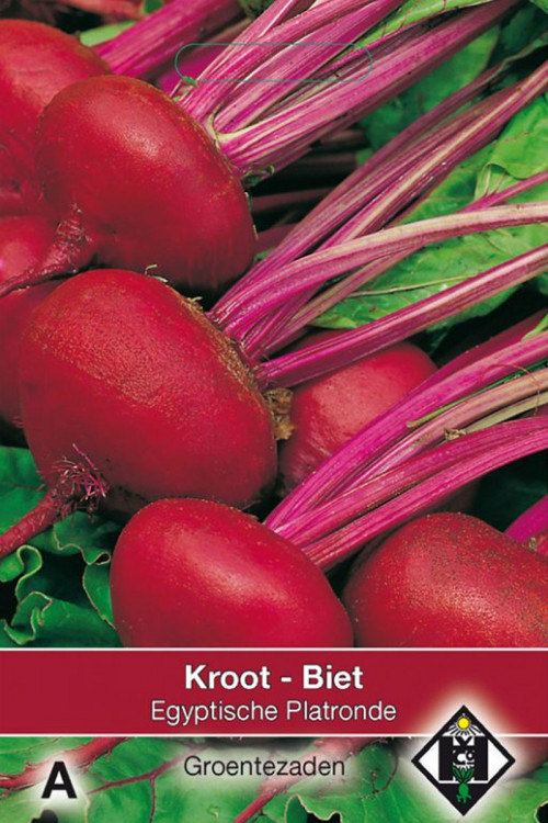 Egyptian Flat Round Beetroot seeds