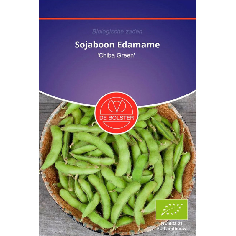 Haarschuifjes groene stenen 5 stuks