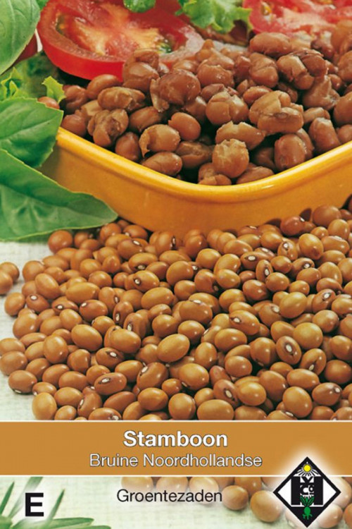 Noordhollandse Bruine brown dwarf beans