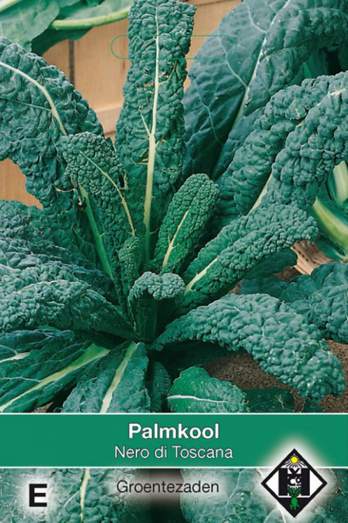 Palmkool Nero di Toscana Kale seeds