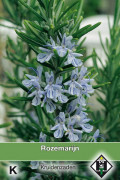 Rosemary Rosmarinus officinalis seeds