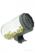Sprout growing pot with sieve lid and stand