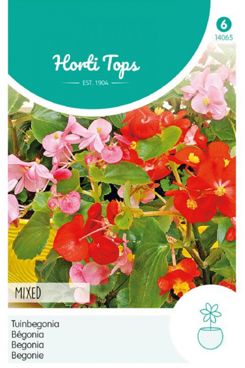 Gemengde Tuinbegonia zaden