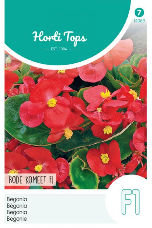 Rode Komeet F1 Begonia zaden