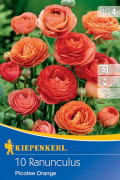 Aviv Picotee Orange Ranonkel 10st Bloembollen