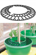 Plant Halo self watering protection