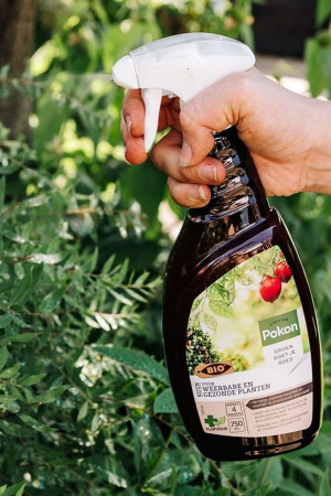 Pokon Bio Cure resilient...