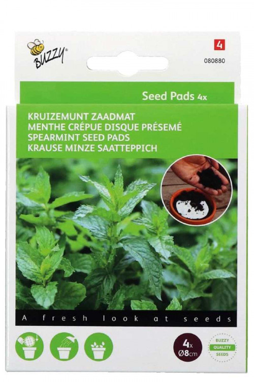 Kruizemunt zaden - Seedpads