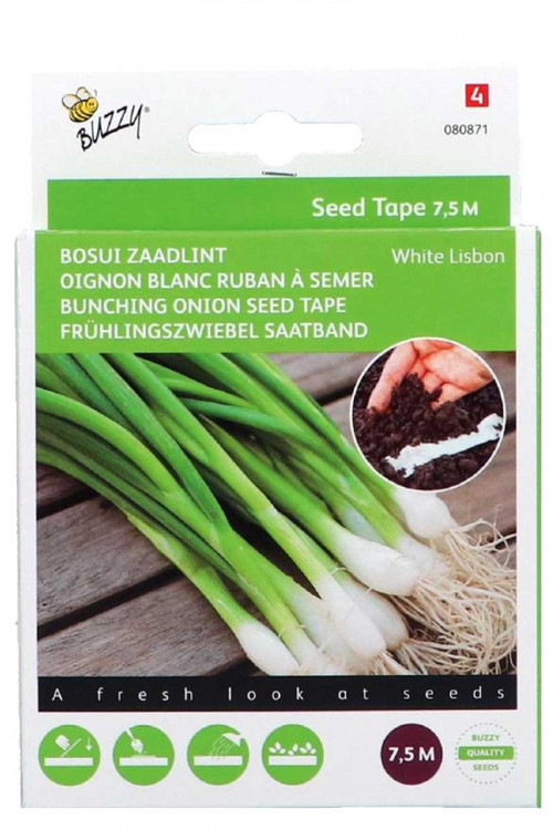 White Lisbon bosui zaadband