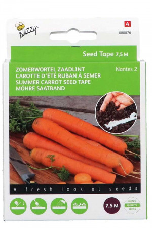 Carrots Nantes - Fun garden