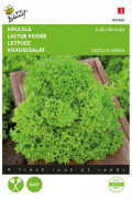 Lollo Bionda lettuce seeds
