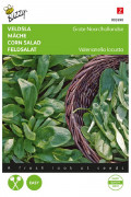 Grote Noordhollandse Corn Salad seeds