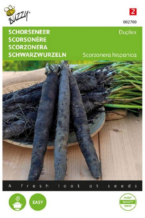 Duplex Scorsonera seeds