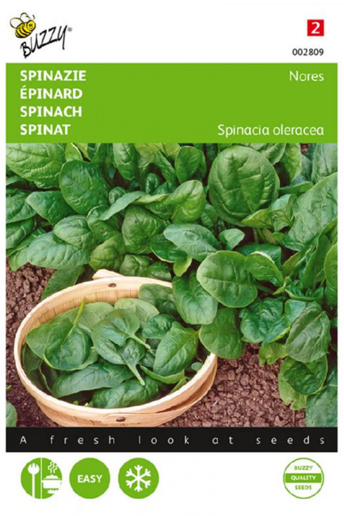 Nores Spinach seeds