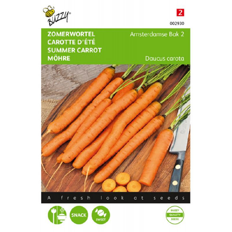 Carrots Amsterdamse Bak 2 carrot seeds - Carrots Seeds • Tuinzaden.eu