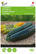 Diamond F1 - Summer Squash