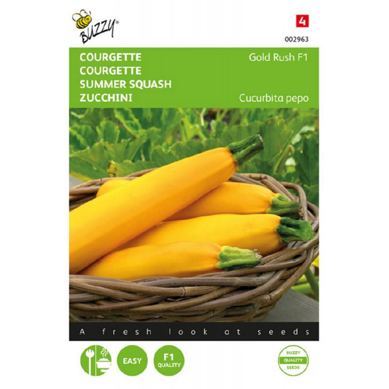 Gold Rush F1 - Summer Squash - Seeds • Tuinzaden.eu