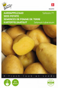 Aardappel uit zaad Soltastic F1 - SOLHY019