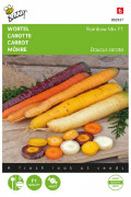 Rainbow F1 Summer Carrot Seeds