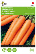 Flyaway F1 Summer Carrot Seeds